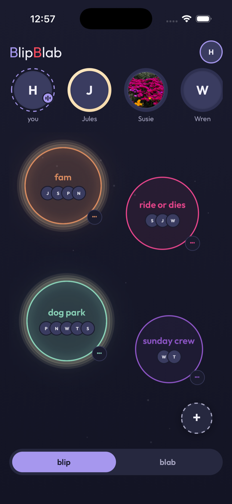 The BlipBlab home screen: circles named fam, ride or dies, dog park and sunday crew floating in a starry night sky, faces of your people along the top